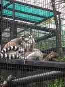 HongKong mei 2008 028.jpg